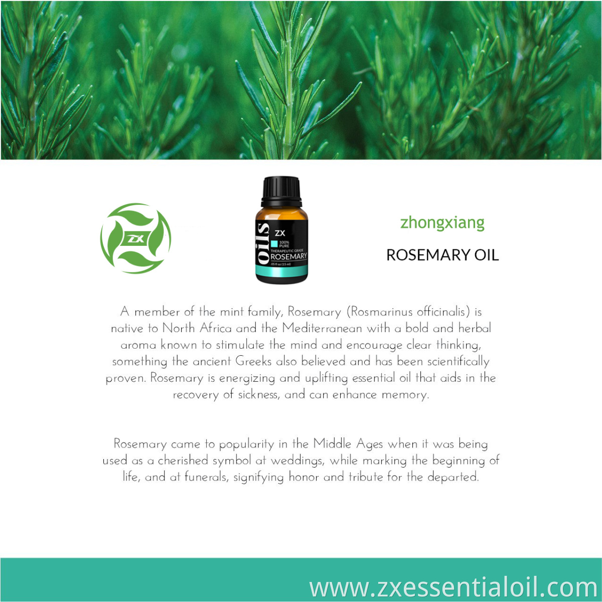 Rosemary Oil3